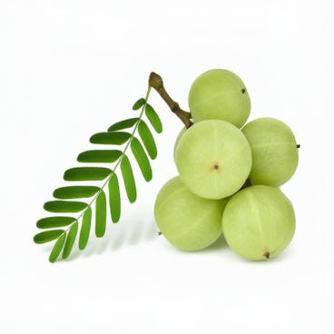 Emblica Officinalis