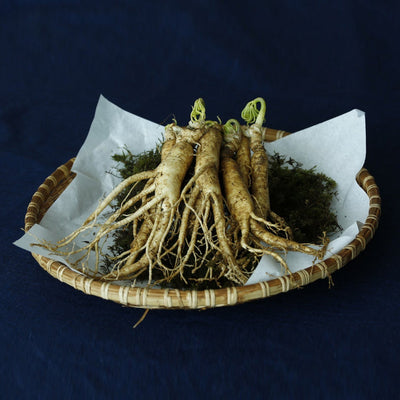 American Ginseng