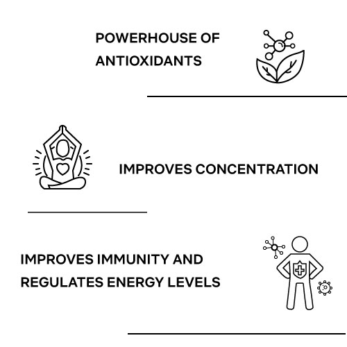 Multivitamin (30 Tablets) Empire1900